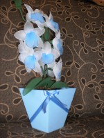 Orquídea em Meia de Seda 